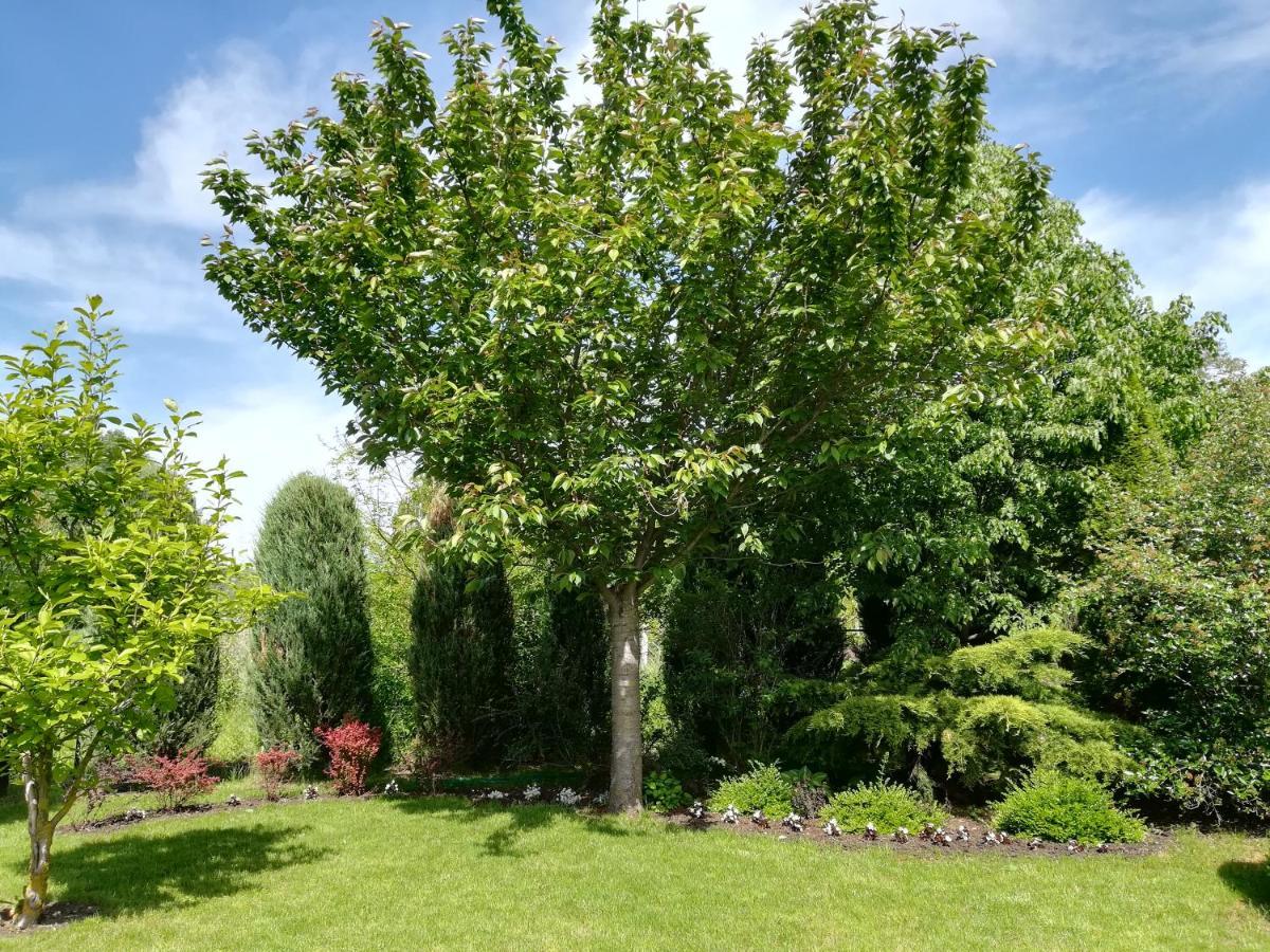 Voelgy Apartman Eger Bagian luar foto