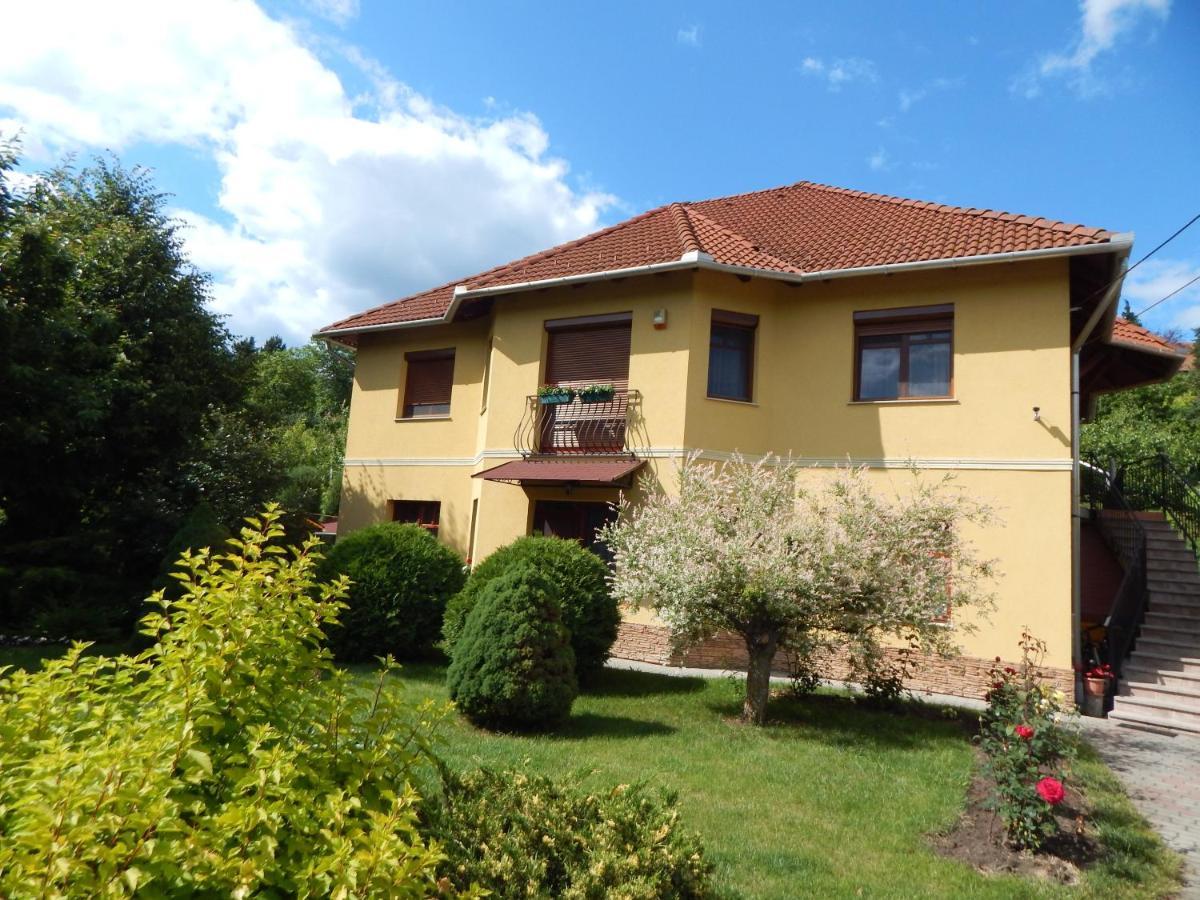 Voelgy Apartman Eger Bagian luar foto