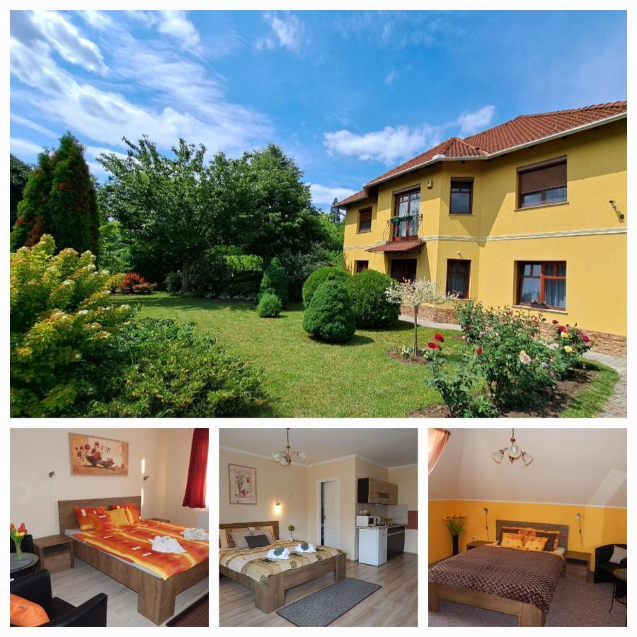 Voelgy Apartman Eger Bagian luar foto