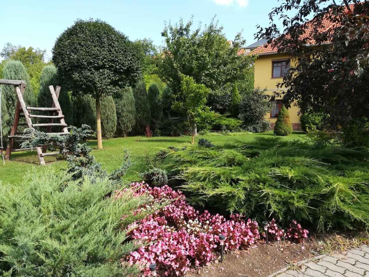 Voelgy Apartman Eger Bagian luar foto